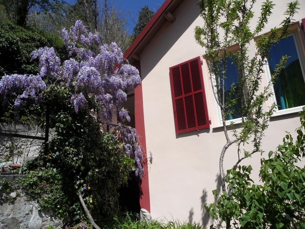 Chambres D'Hotes Casa Sylvana Saint-Dalmas-de-Tende Extérieur photo